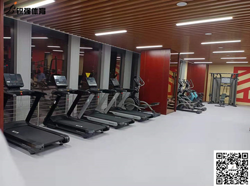 AG庄闲完成的济南某部门单位健身房